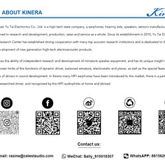 Kinera Celest Wyvern Earphone Cable with Detachable Boom Mic