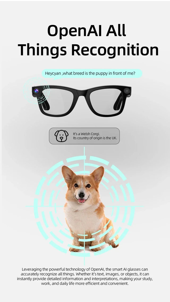 4K AI Smart Glasses with Camera, Voice Assistant &amp; Translation